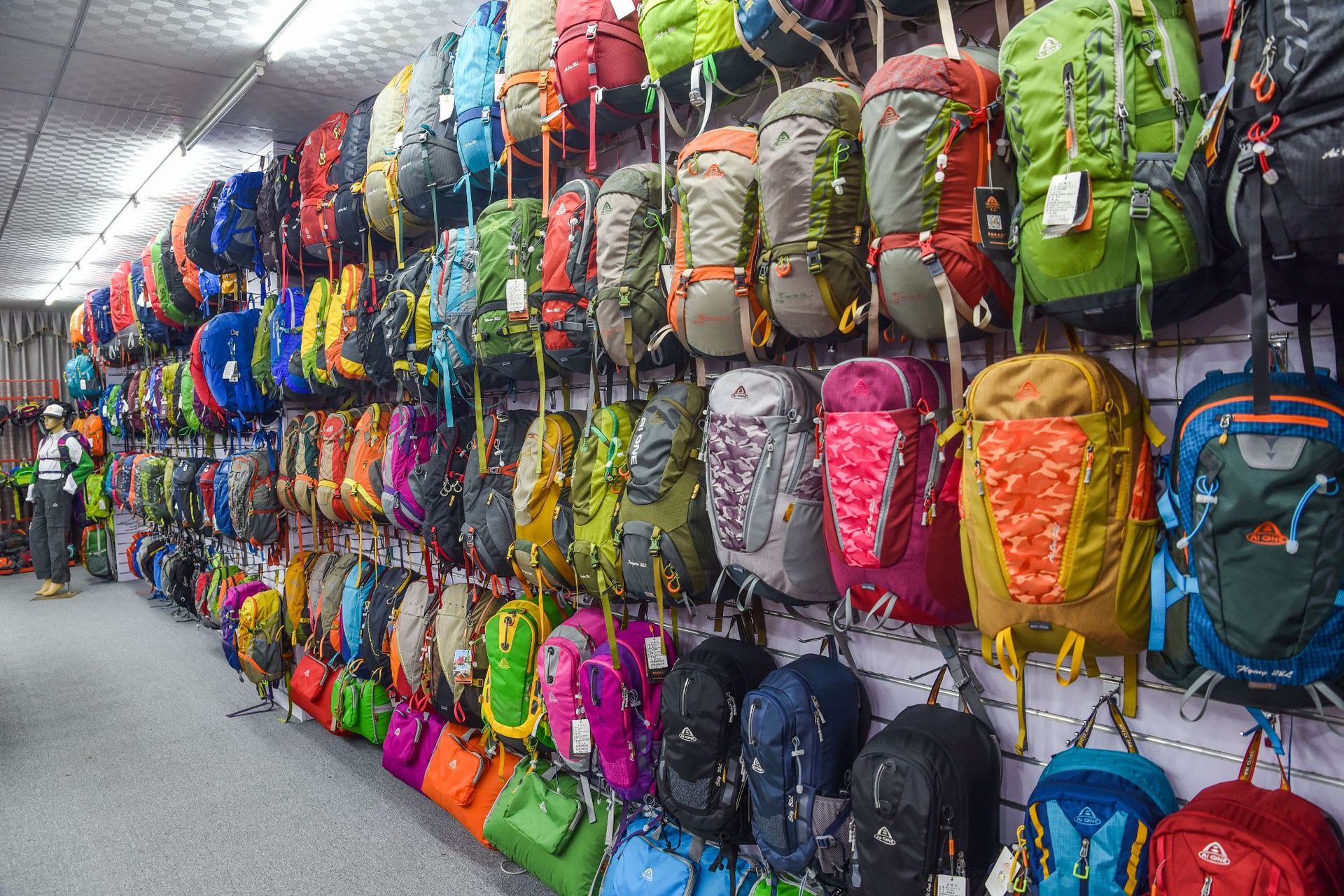 10540539042 243422978